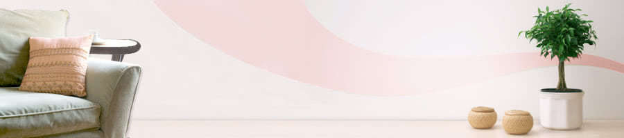 �����̕q�r�r�W�l�X�}����N�O���\������w���Љ�